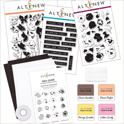 Craft Stamping Kits for Cards and Scrapbooks