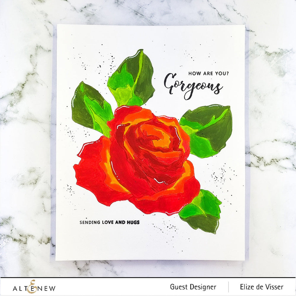 Coloring Book Paint-by-Number: Classical Roses