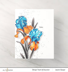 Alcohol Ink Bundle Beach Garden Artist Alcohol Ink Set K Bundle
