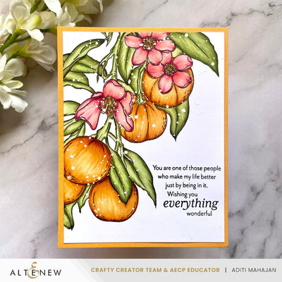 Alcohol Marker & Alcohol Ink Bundle Cottage Garden Artist Alcohol Markers Set & Alcohol Ink Bundle