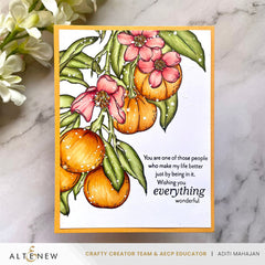 Alcohol Marker & Alcohol Ink Bundle Cottage Garden Artist Alcohol Markers Set & Alcohol Ink Bundle