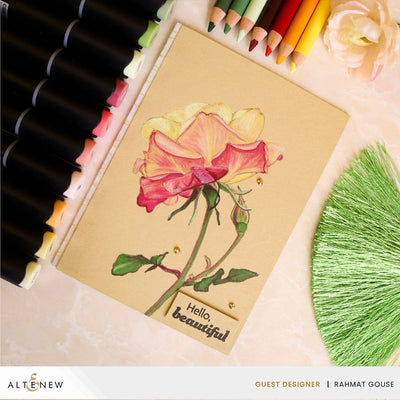Alcohol Marker & Alcohol Ink Bundle Cottage Garden Artist Alcohol Markers Set & Alcohol Ink Bundle