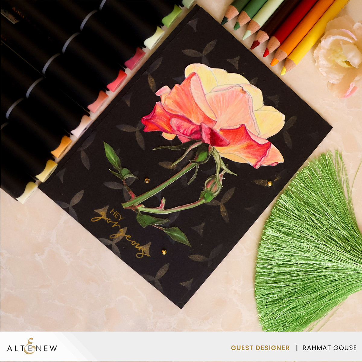 Alcohol Marker & Alcohol Ink Bundle Cottage Garden Artist Alcohol Markers Set & Alcohol Ink Bundle