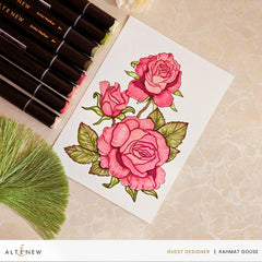 Alcohol Marker & Alcohol Ink Bundle Cottage Garden Artist Alcohol Markers Set & Alcohol Ink Bundle