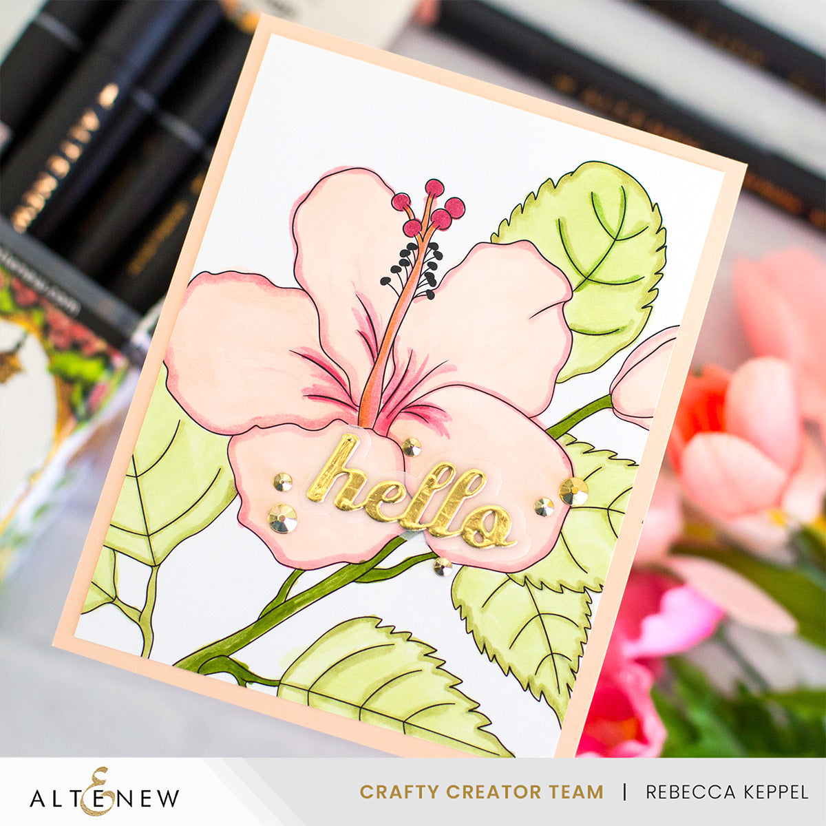 Alcohol Marker & Alcohol Ink Bundle Cottage Garden Artist Alcohol Markers Set & Alcohol Ink Bundle