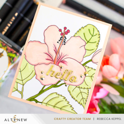Alcohol Marker & Alcohol Ink Bundle Cottage Garden Artist Alcohol Markers Set & Alcohol Ink Bundle