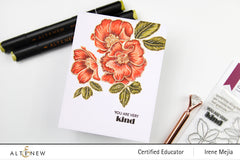 Alcohol Marker & Alcohol Ink Bundle Mystic Garden Artist Alcohol Markers Set & Alcohol Ink Bundle