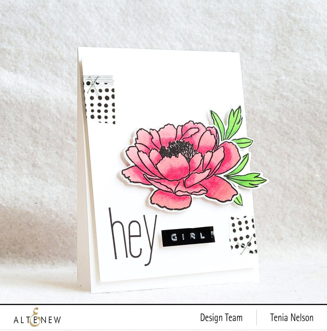 Alcohol Marker Bundle Nature's Views 24 Artist Alcohol Markers Bundle