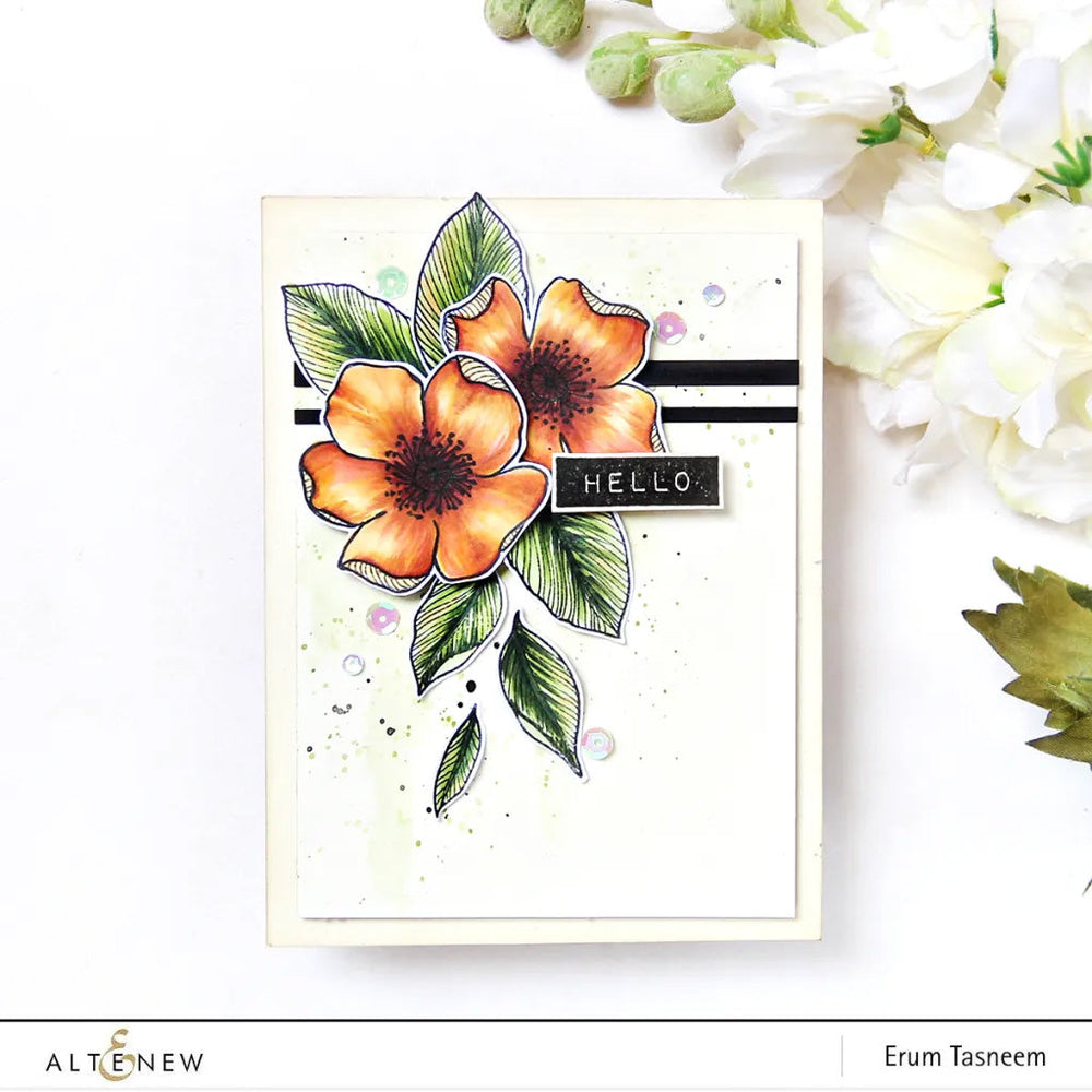 Alcohol Markers Artist Alcohol Markers Four Scoops Set