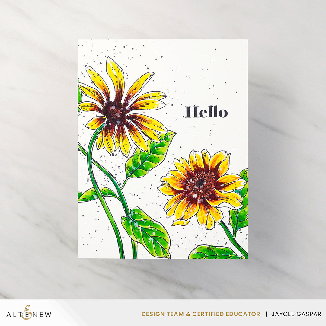 Betterpress Plate Bundle Delightful Blossoms Press Plate Bundle