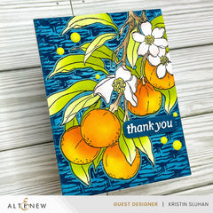 Betterpress Plate Bundle July 2024 Betterpress Plates Release Bundle