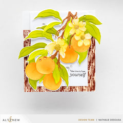 Betterpress Plate Bundle July 2024 Betterpress Plates Release Bundle