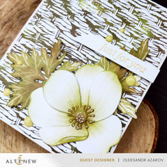 Betterpress Plate Bundle July 2024 Betterpress Plates Release Bundle