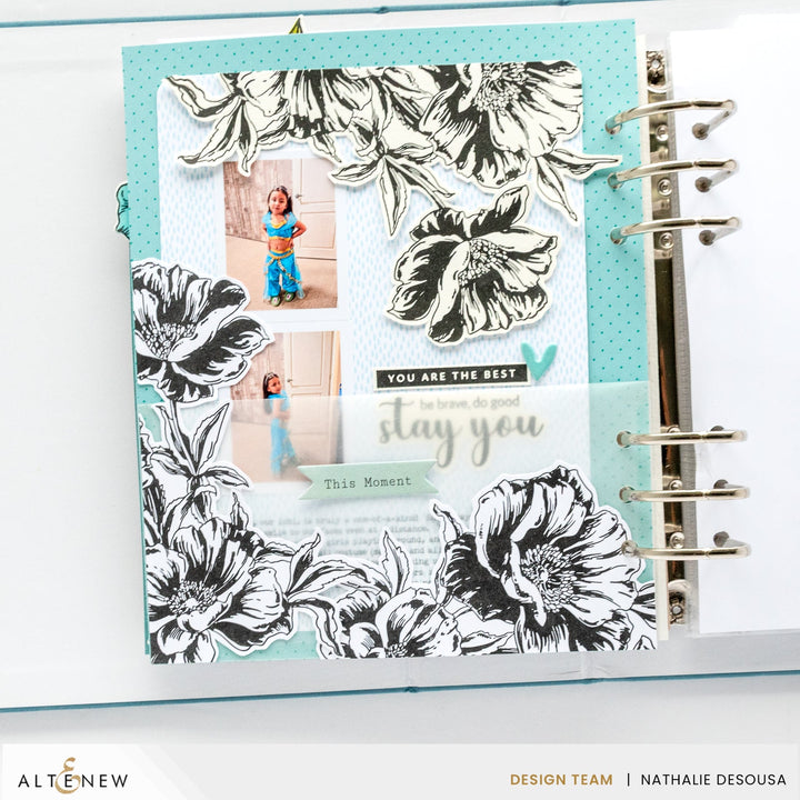 Betterpress Plate Bundle July 2024 Betterpress Plates Release Bundle