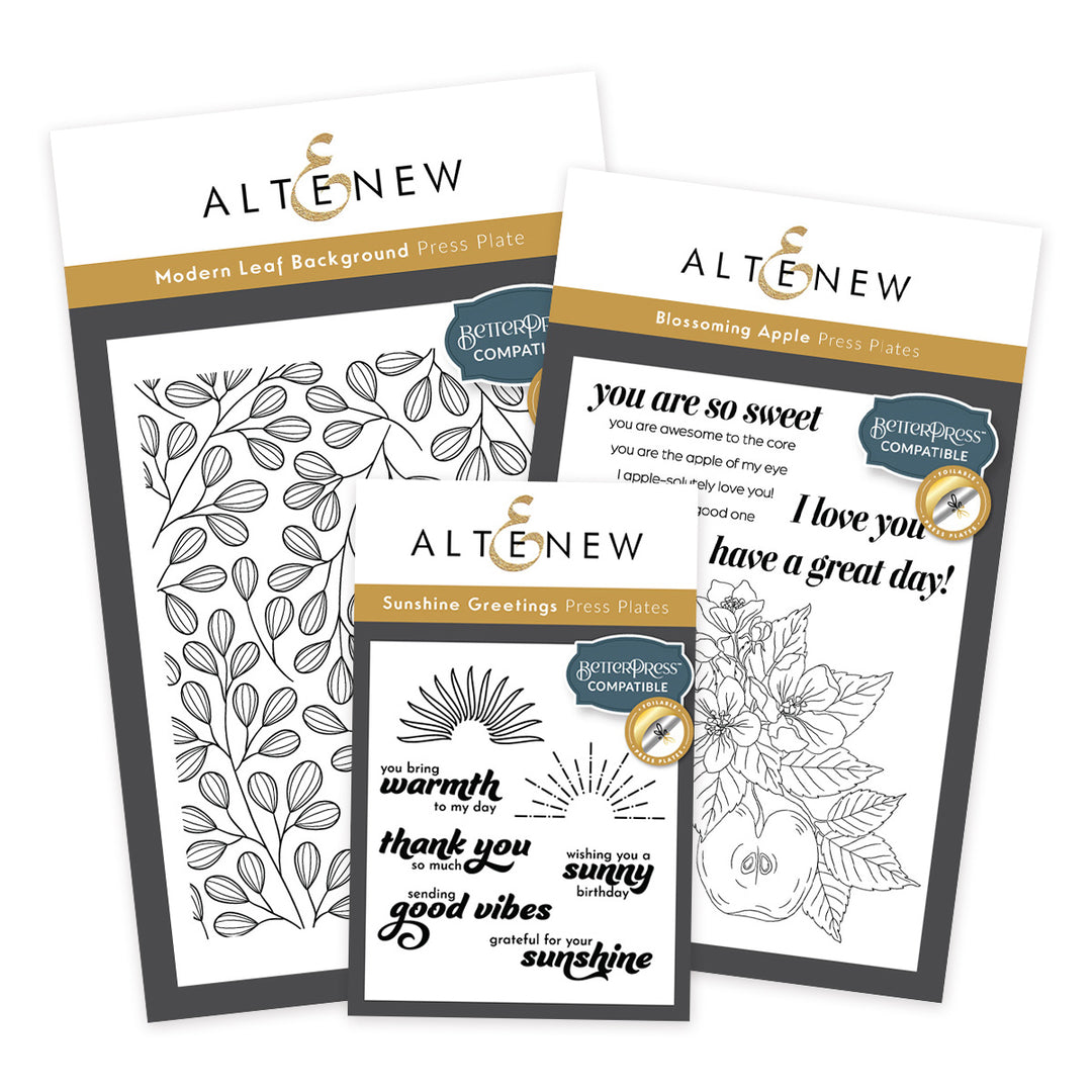 Betterpress Plate Bundle Seasonal Splendors Press Plate Bundle