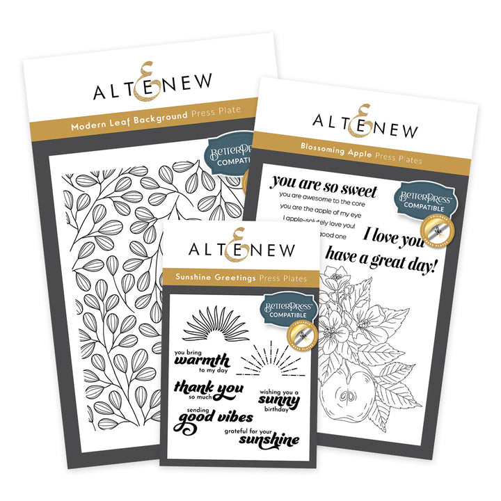 Betterpress Plate Bundle Seasonal Splendors Press Plate Bundle
