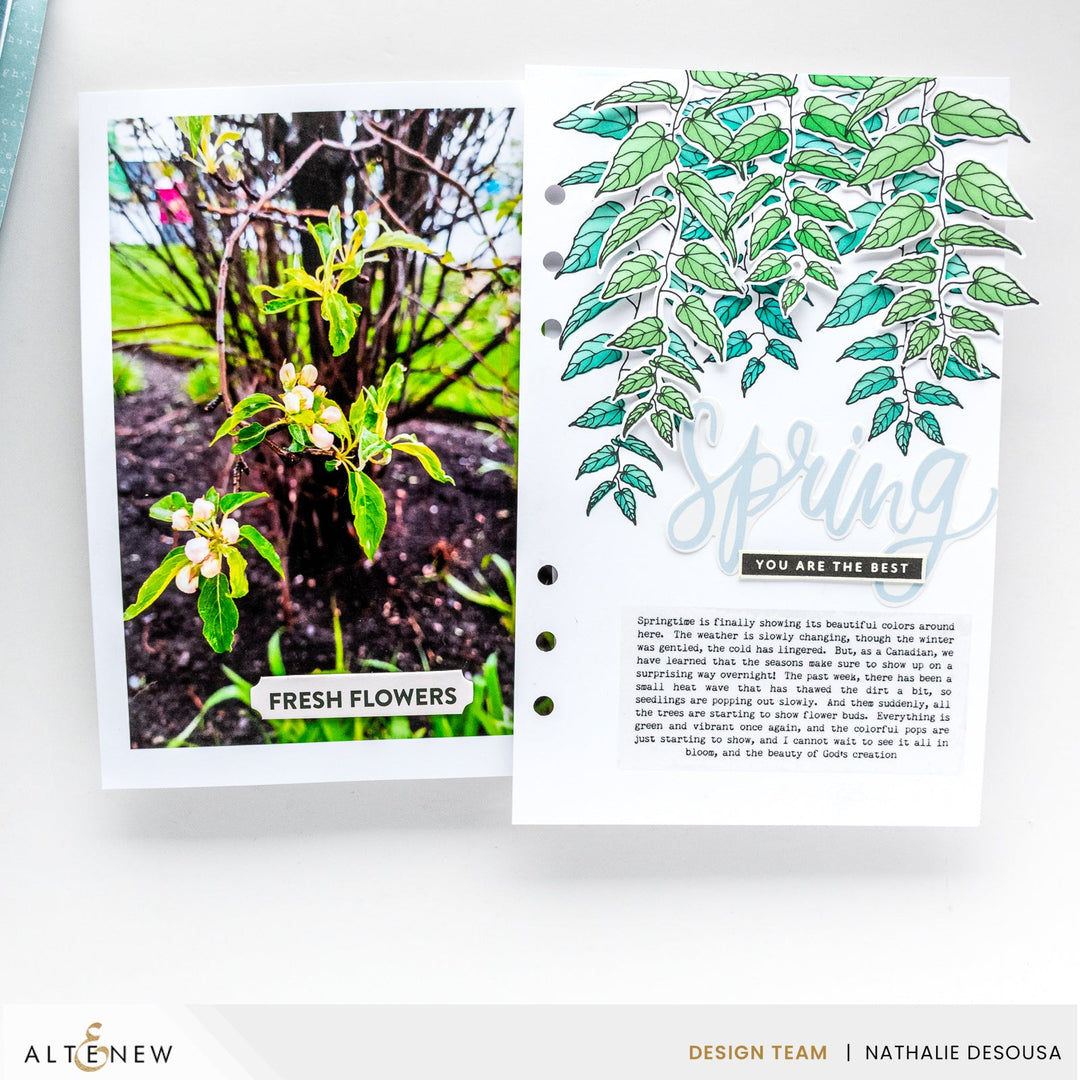 Betterpress Plates Cascading Vines Press Plate Set