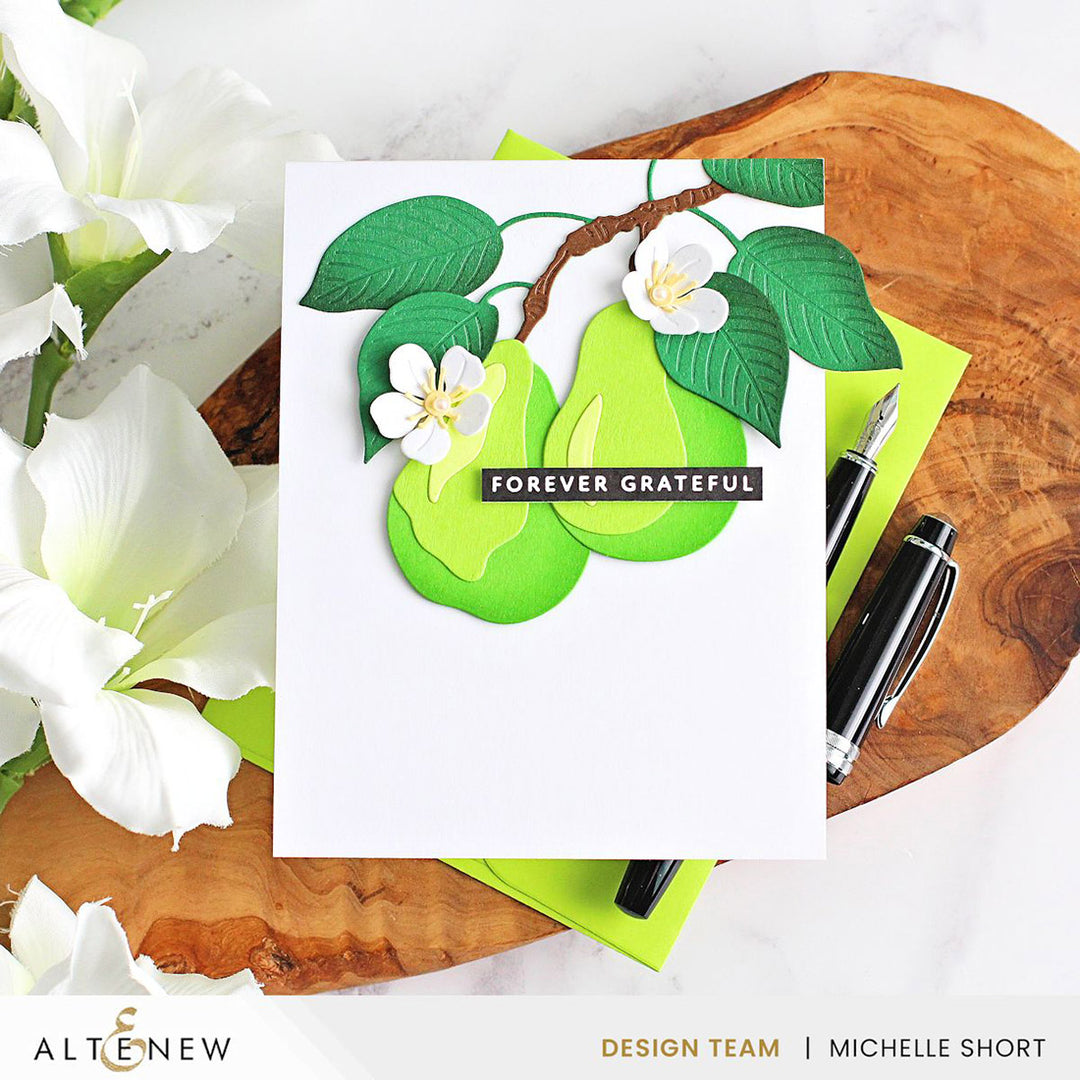 Betterpress Plates One-Go: Solid Sentiment Strips 3 Press Plates/Foil Plates (Gratitude Edition)