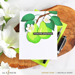 Betterpress Plates One-Go: Solid Sentiment Strips 3 Press Plates/Foil Plates (Gratitude Edition)