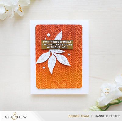 Betterpress Plates One-Go: Solid Sentiment Strips 3 Press Plates/Foil Plates (Gratitude Edition)