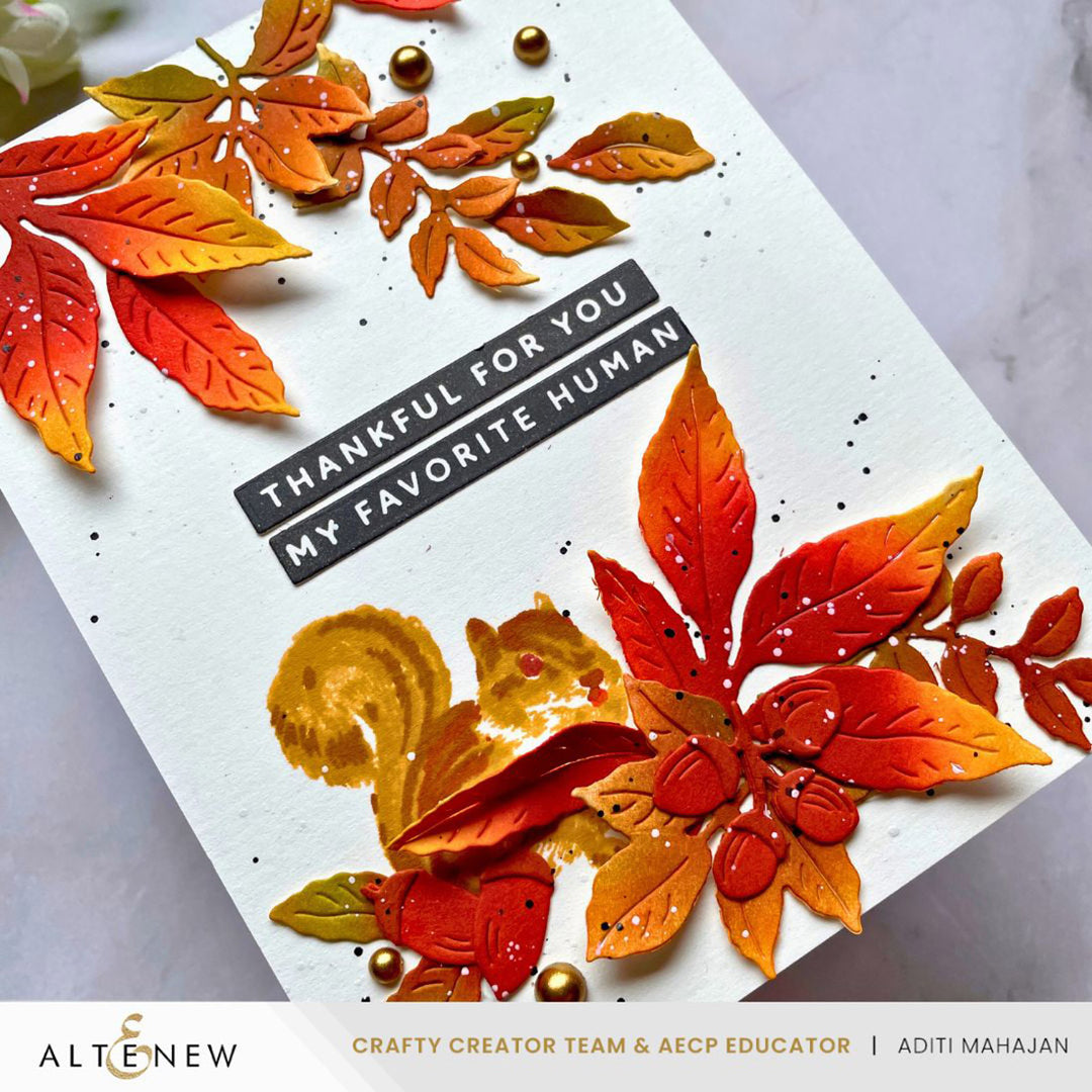 Betterpress Plates One-Go: Solid Sentiment Strips 3 Press Plates/Foil Plates (Gratitude Edition)