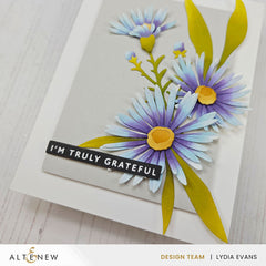Betterpress Plates One-Go: Solid Sentiment Strips 3 Press Plates/Foil Plates (Gratitude Edition)