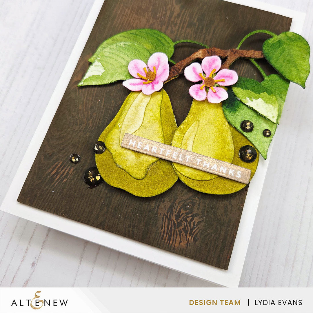 Betterpress Plates One-Go: Solid Sentiment Strips 3 Press Plates/Foil Plates (Gratitude Edition)