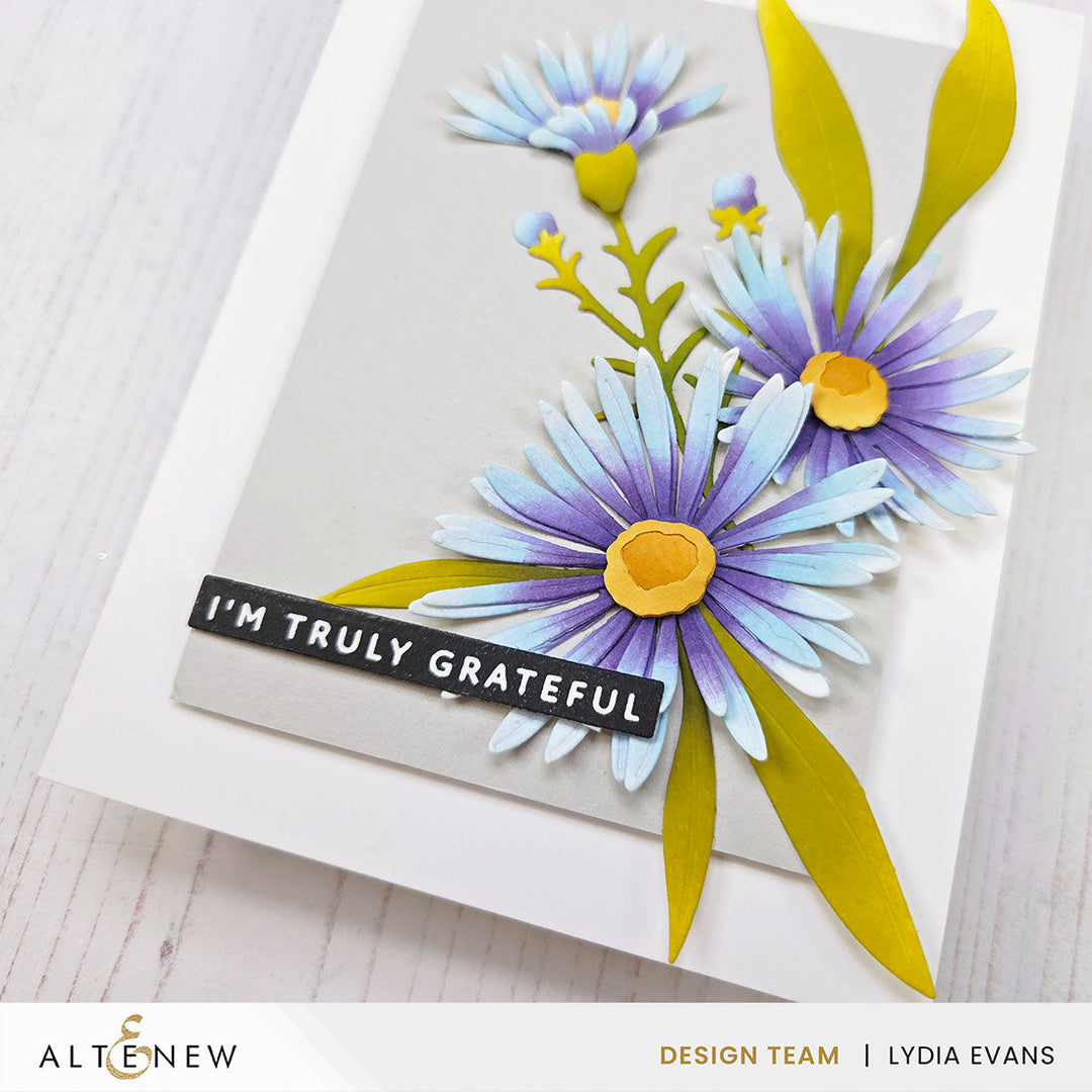 Betterpress Plates One-Go: Solid Sentiment Strips 3 Press Plates/Foil Plates (Gratitude Edition)