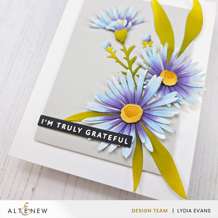 Betterpress Plates One-Go: Solid Sentiment Strips 3 Press Plates/Foil Plates (Gratitude Edition)