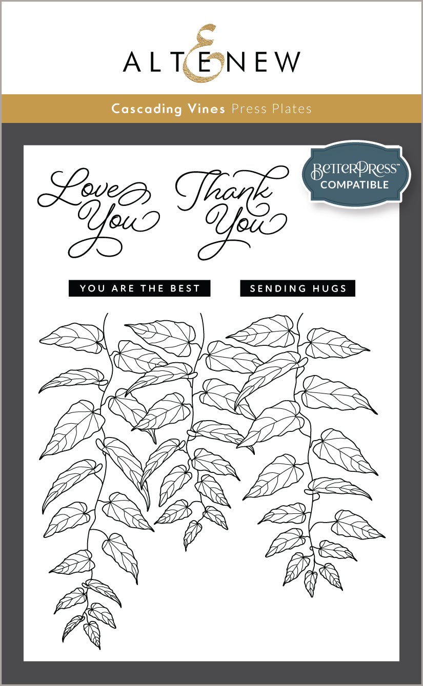 Betterpress Plates & Stencil Bundle Cascading Vines