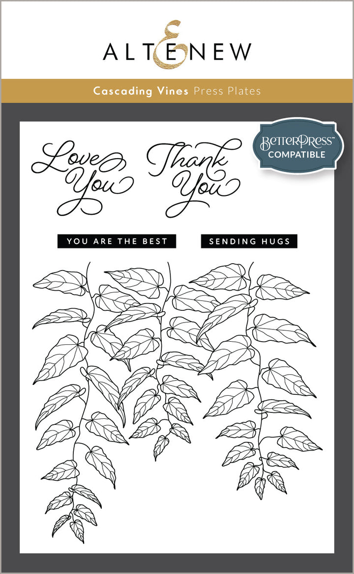 Betterpress Plates & Stencil Bundle Cascading Vines
