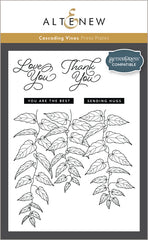 Betterpress Plates & Stencil Bundle Cascading Vines