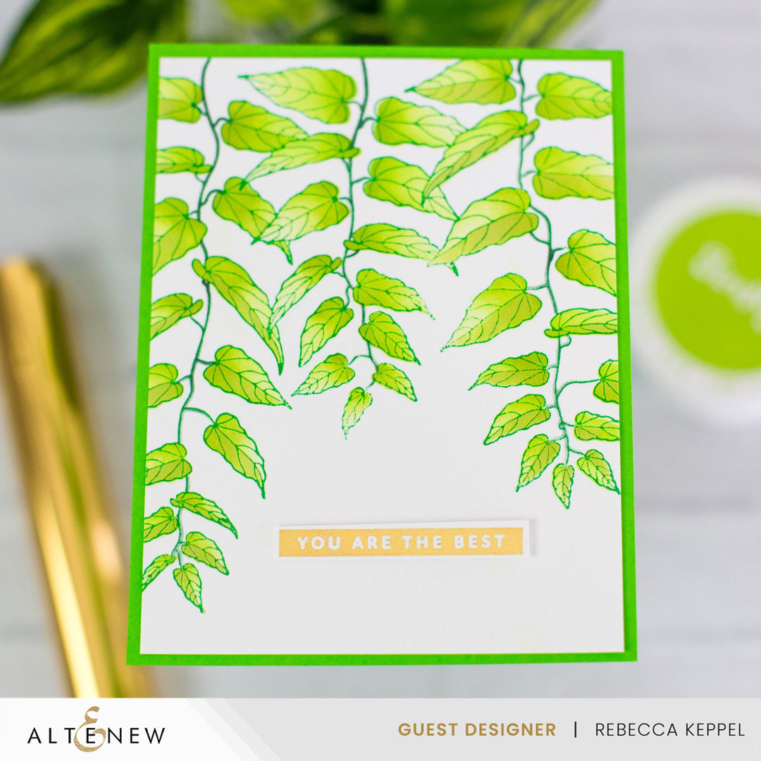 Betterpress Plates & Stencil Bundle Cascading Vines