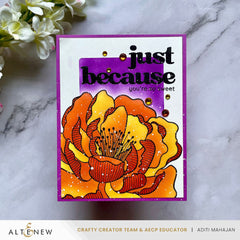 Betterpress Plates & Stencil Bundle Magical Peony