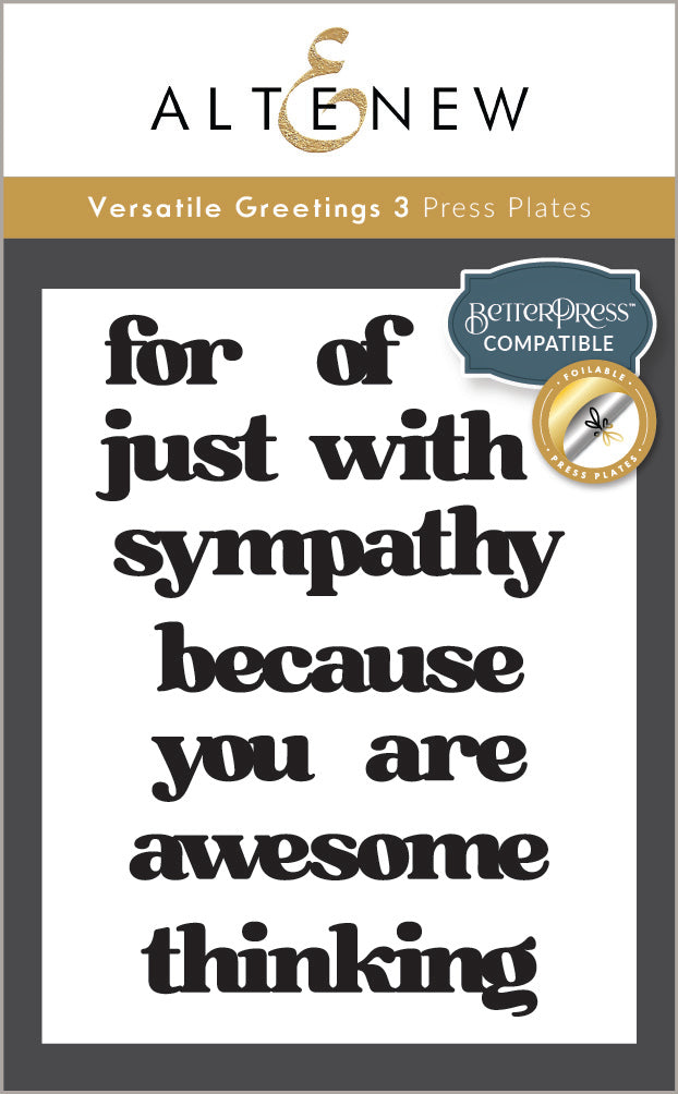 Betterpress Plates Versatile Greetings 3 Press Plates (Comfort Edition)