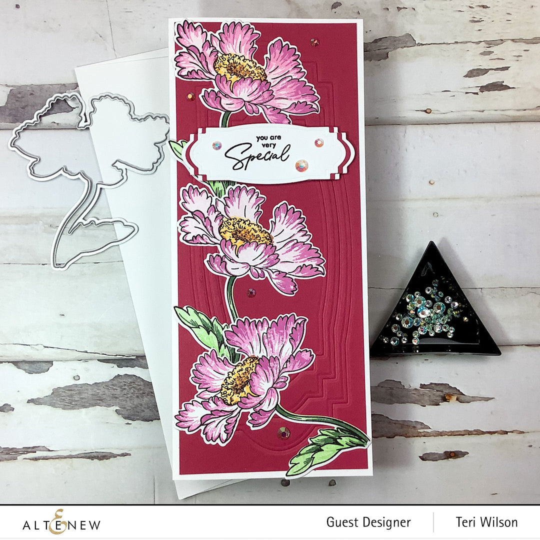 Build-A-Flower Set Build-A-Flower: Candystripe Cosmos Layering Stamp & Die Set