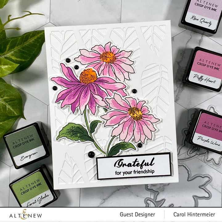 Build-A-Flower Set Build-A-Flower: Coneflower Layering Stamp & Die Set