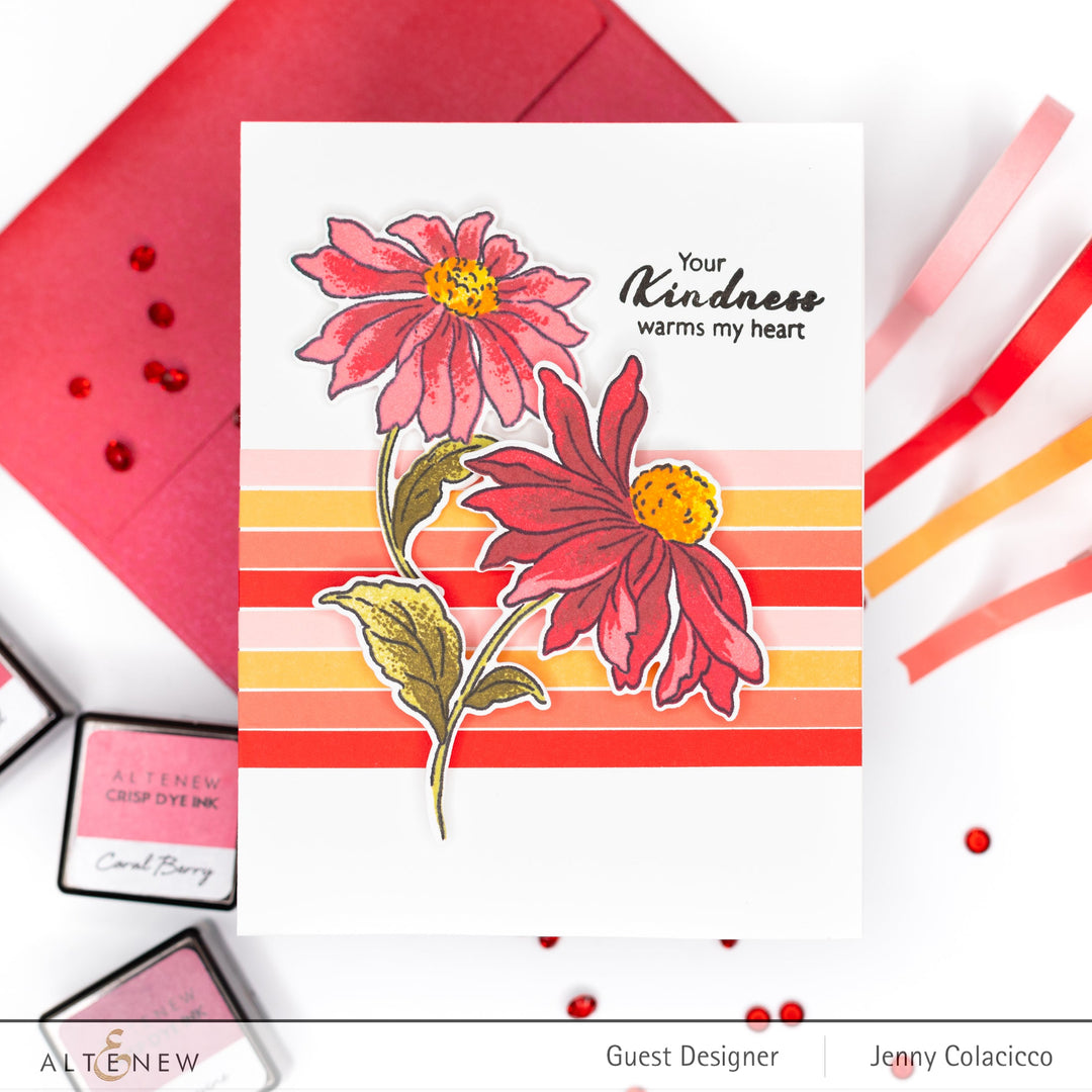 Build-A-Flower Set Build-A-Flower: Coneflower Layering Stamp & Die Set