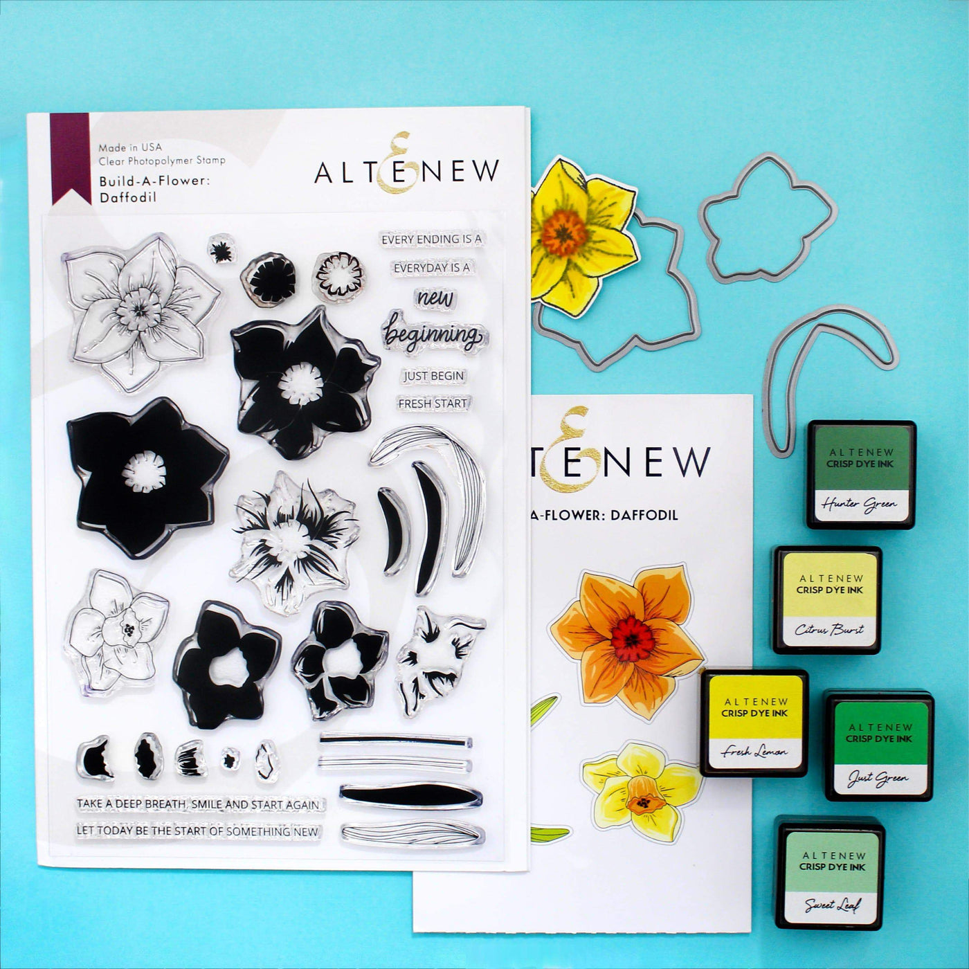 Build-A-Flower Set Build-A-Flower: Daffodil Layering Stamp & Die Set
