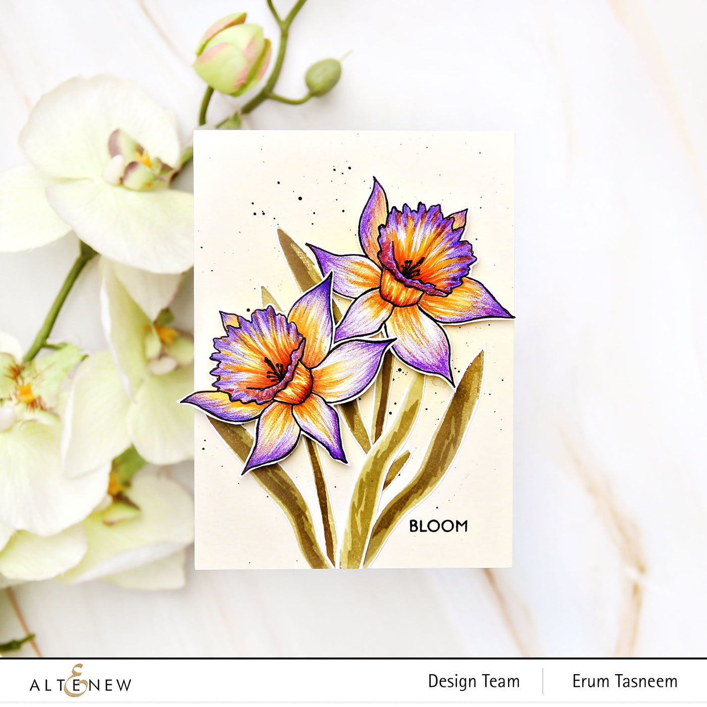 Build-A-Flower Set Build-A-Flower: Narcissus Layering Stamp & Die Set