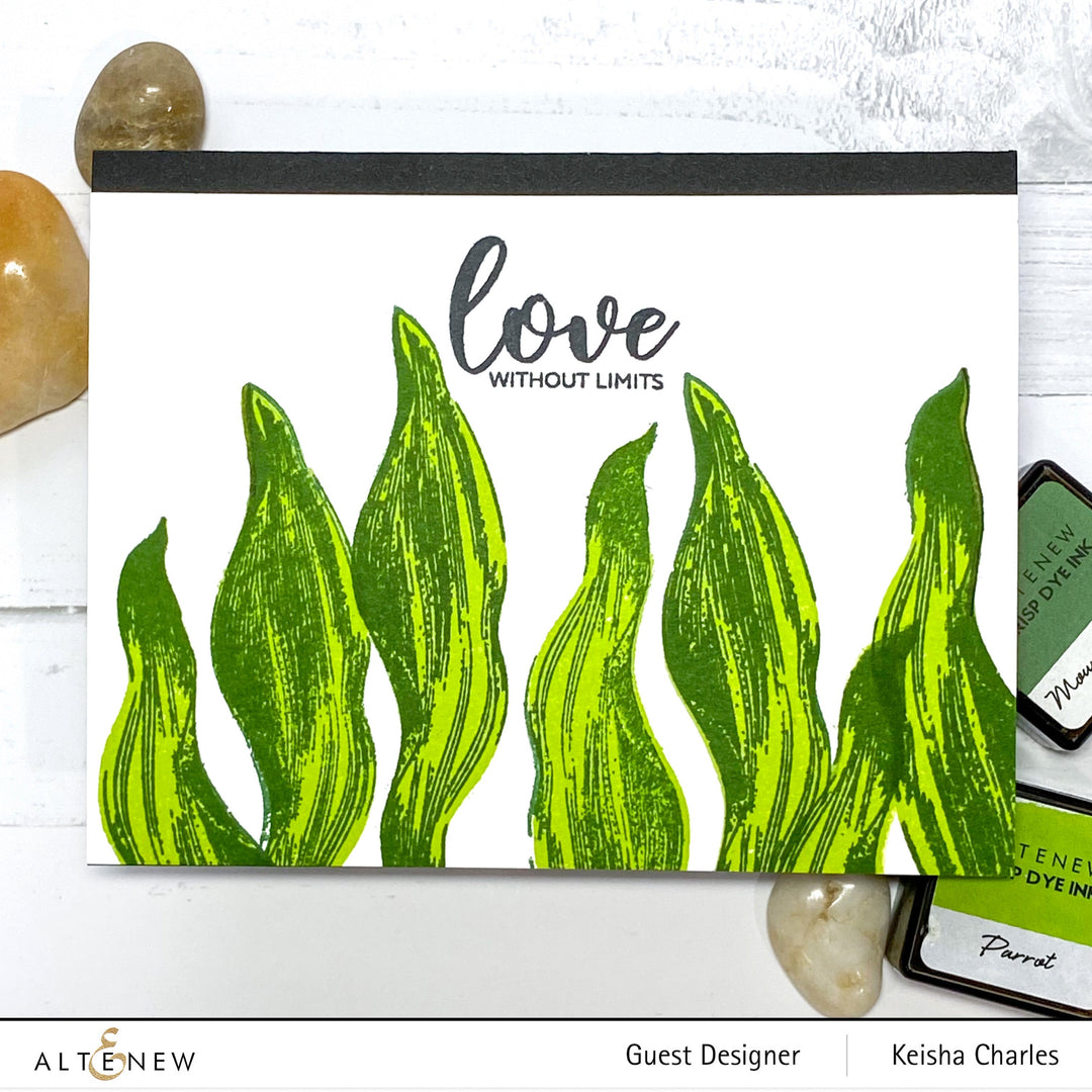 Build-A-Flower Set Build-A-Flower: Parrot Tulips Layering Stamp & Die Set