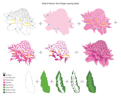 Build-A-Flower Set Build-A-Flower: Torch Ginger Layering Stamp & Die Set