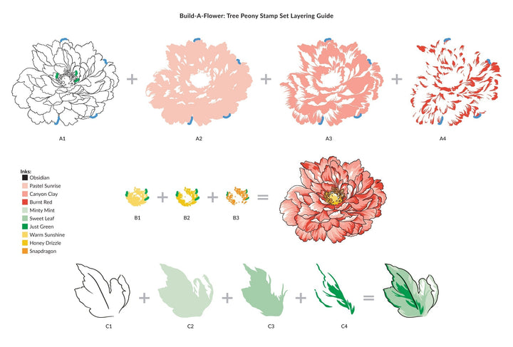 Build-A-Flower Set Build-A-Flower: Tree Peony Layering Stamp & Die Set