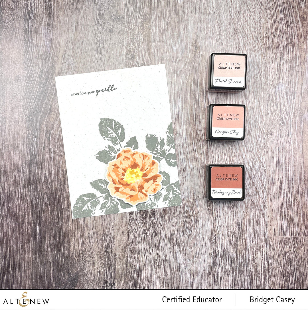 Build-A-Flower Set Build-A-Flower: Wild Rose Layering Stamp & Die Set