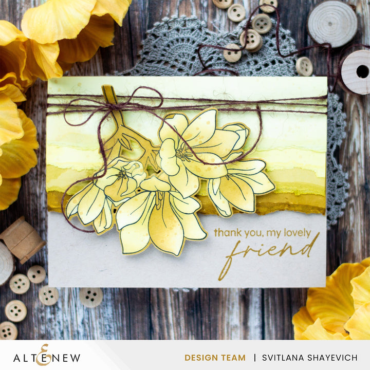 Build-A-Garden Set Build-A-Garden: Blossoming Freesia