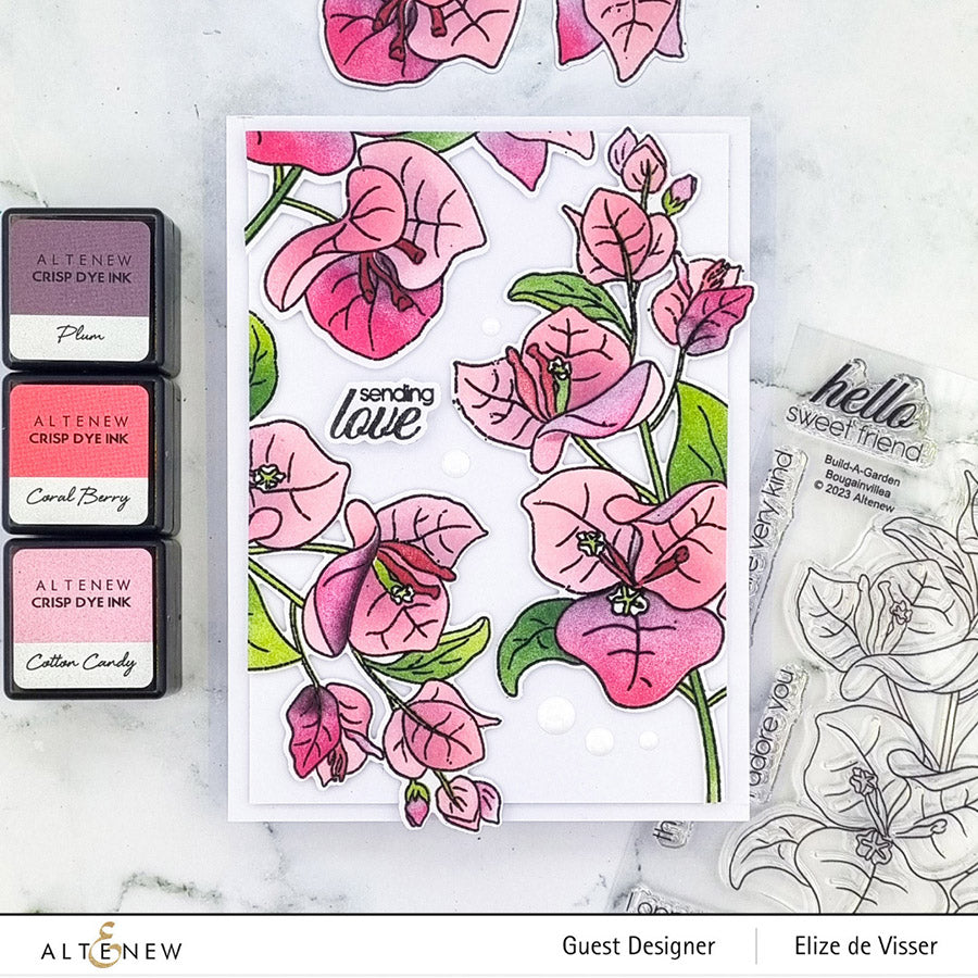 Build-A-Garden Set Build-A-Garden: Bougainvillea
