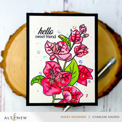 Build-A-Garden Set Build-A-Garden: Bougainvillea