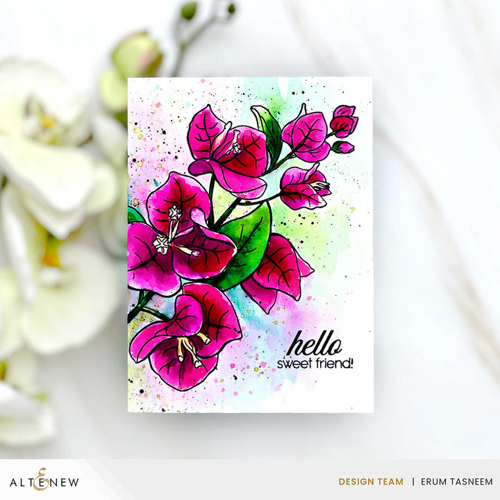 Build-A-Garden Set Build-A-Garden: Bougainvillea