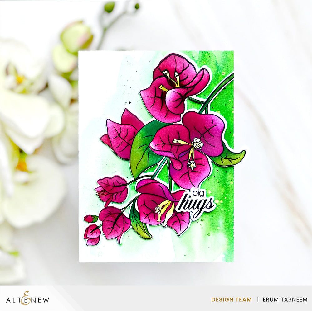 Build-A-Garden Set Build-A-Garden: Bougainvillea