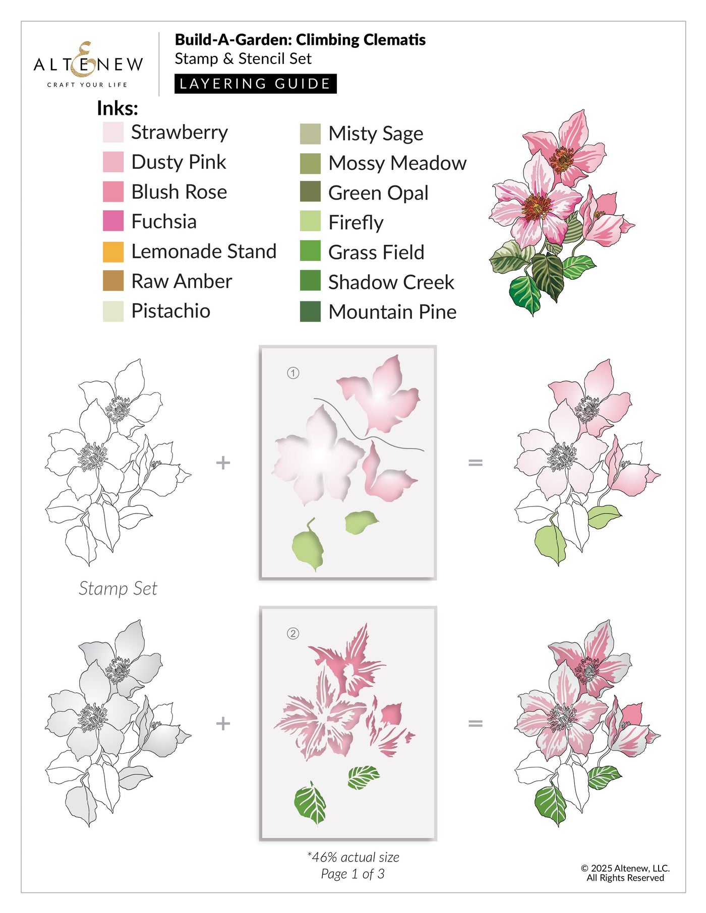 Build-A-Garden Set Build-A-Garden: Climbing Clematis